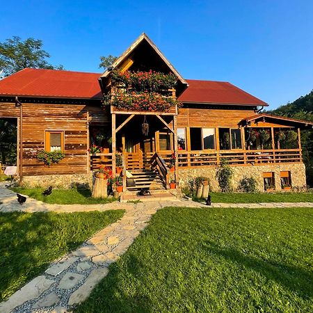 Вилла Cabana La Domnu' De Pe Vale Аюд Экстерьер фото