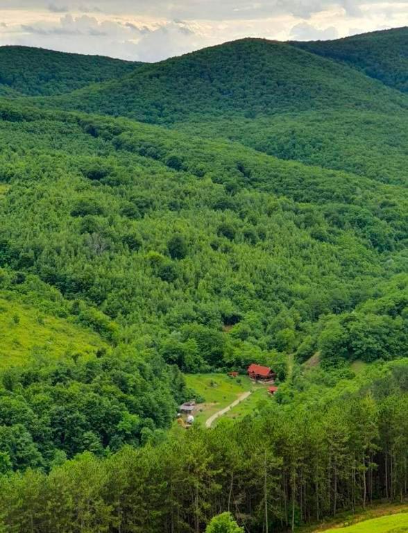 Вилла Cabana La Domnu' De Pe Vale Аюд Экстерьер фото
