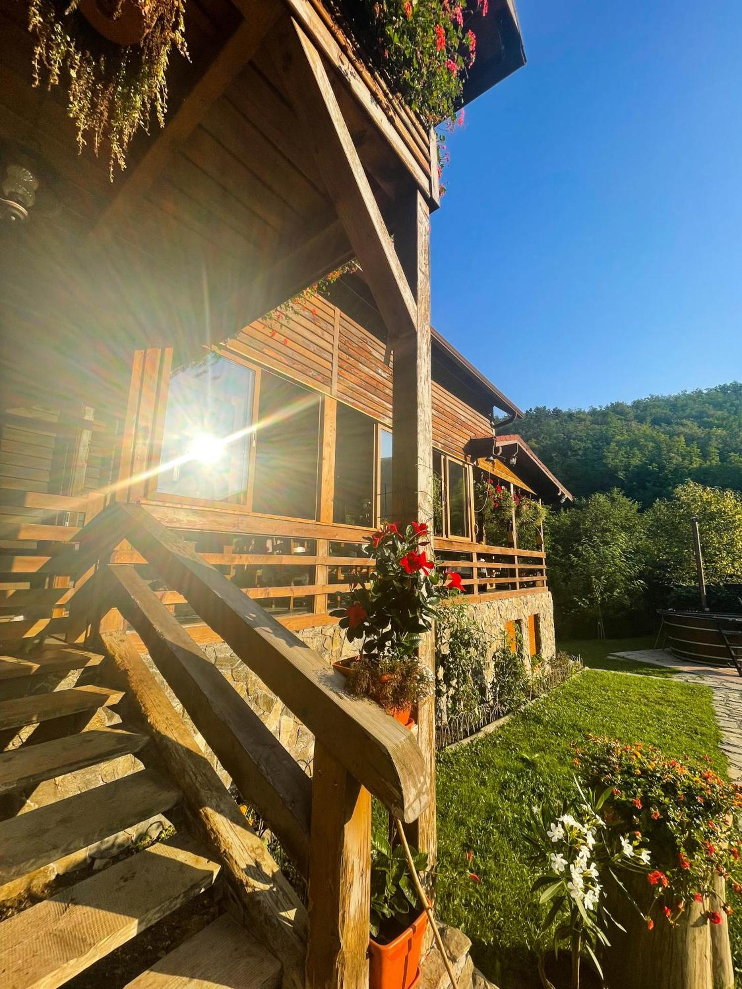 Вилла Cabana La Domnu' De Pe Vale Аюд Экстерьер фото
